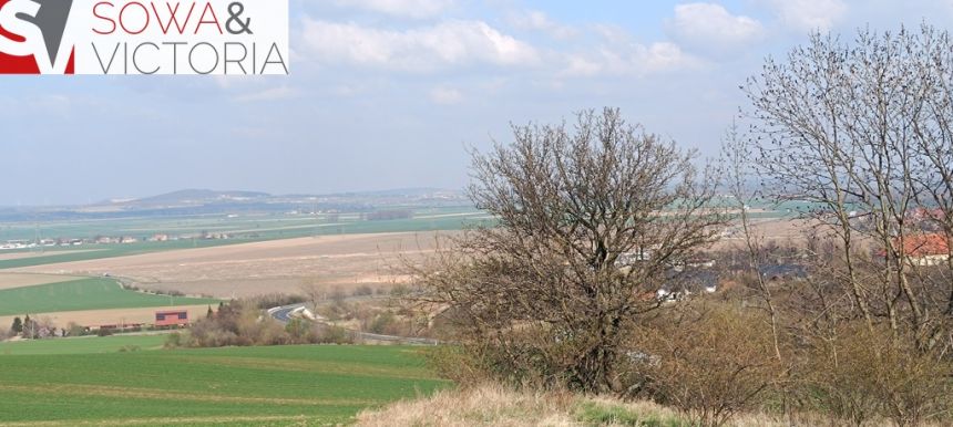 Piękna, otoczona lasem działka w Dobromierzu miniaturka 10
