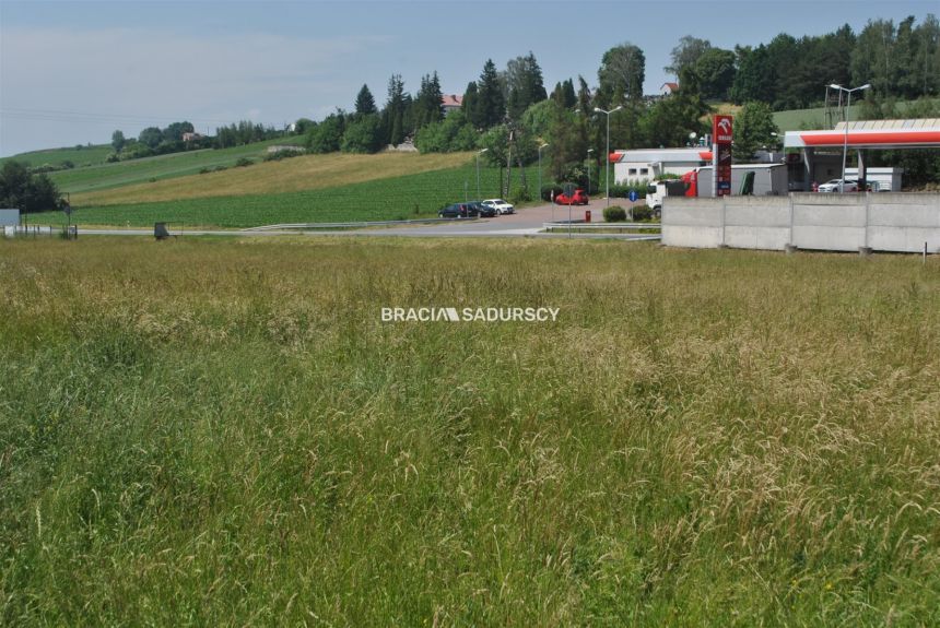 Duża działka usługowa w rejonie drogi nr 94 miniaturka 5