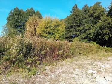 Podolszyn Nowy, 1 200 000 zł, 32 ar, inwestycyjna