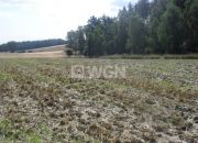 Kurów Mały, 570 000 zł, 1.9 ha, bez nasadzeń miniaturka 2