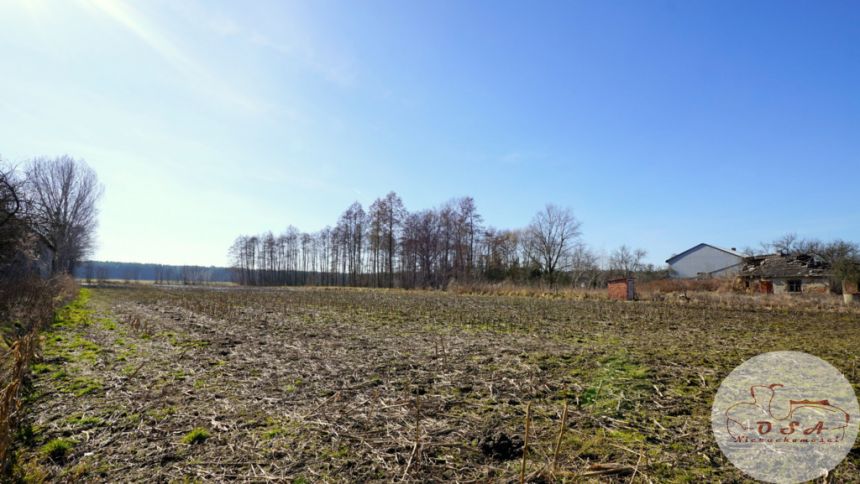 Rolno-budowlana 7200 m² Myszakówek Zagórów miniaturka 4
