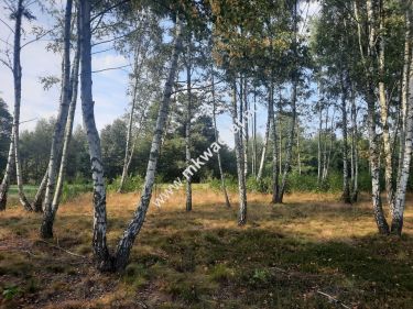 Działka mieszkaniowo-usługowa Nadarzyn M Kwadrat