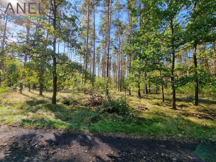 Działka w lesie- Ruda Śląska- Halemba/Stara Kuźnia miniaturka 6