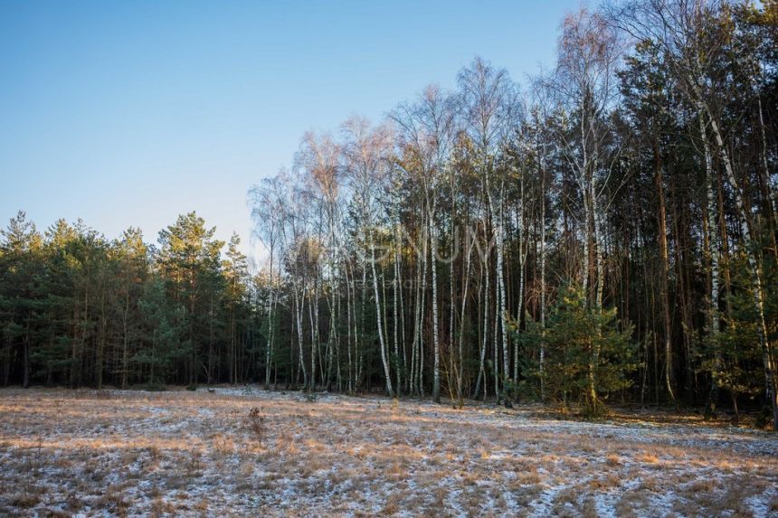 Działka pod zabudowę jednorodzinną przy Narwi - zdjęcie 1