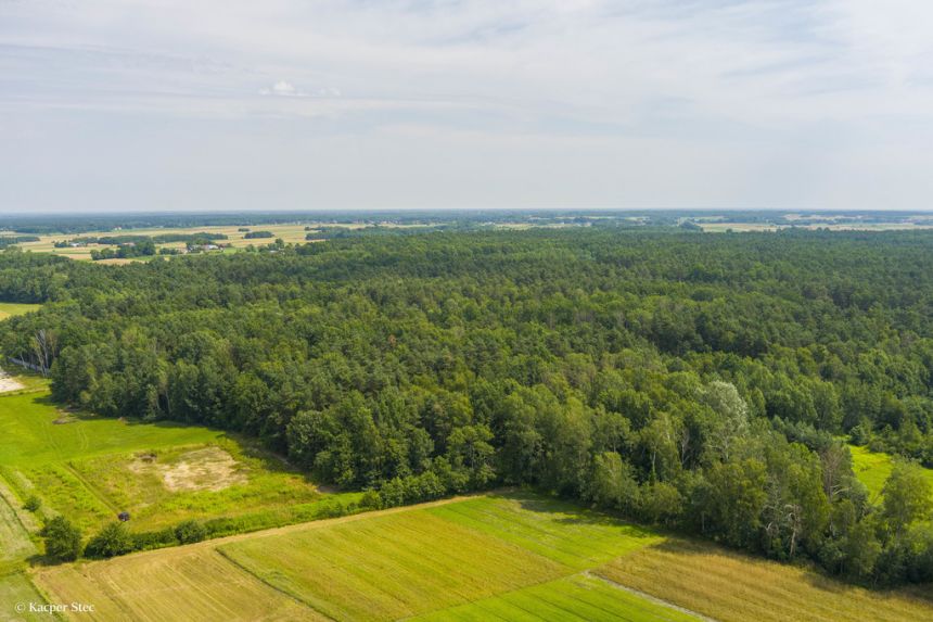 Działka rolna miniaturka 4