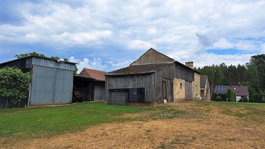 Gospodarstwo, działka 9300m2, Dom 91 m2 + budynki miniaturka 11