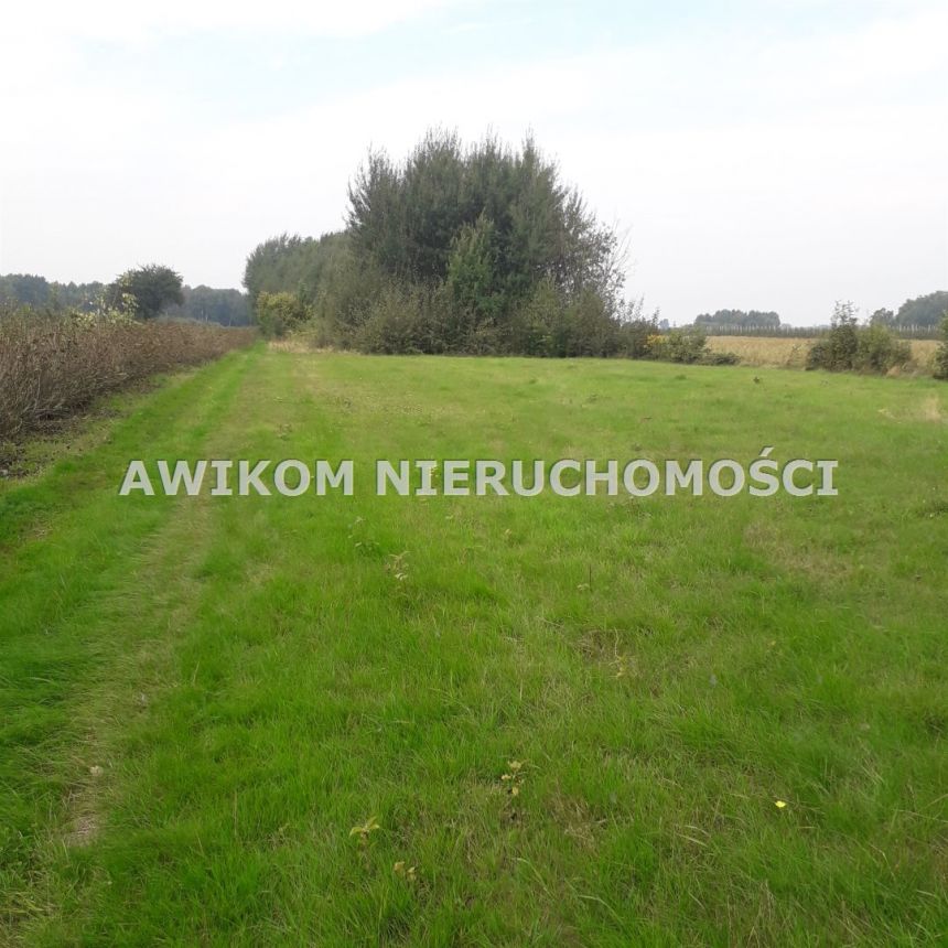 Kowiesowo, 299 000 zł, 48 m2, z pustaka miniaturka 5