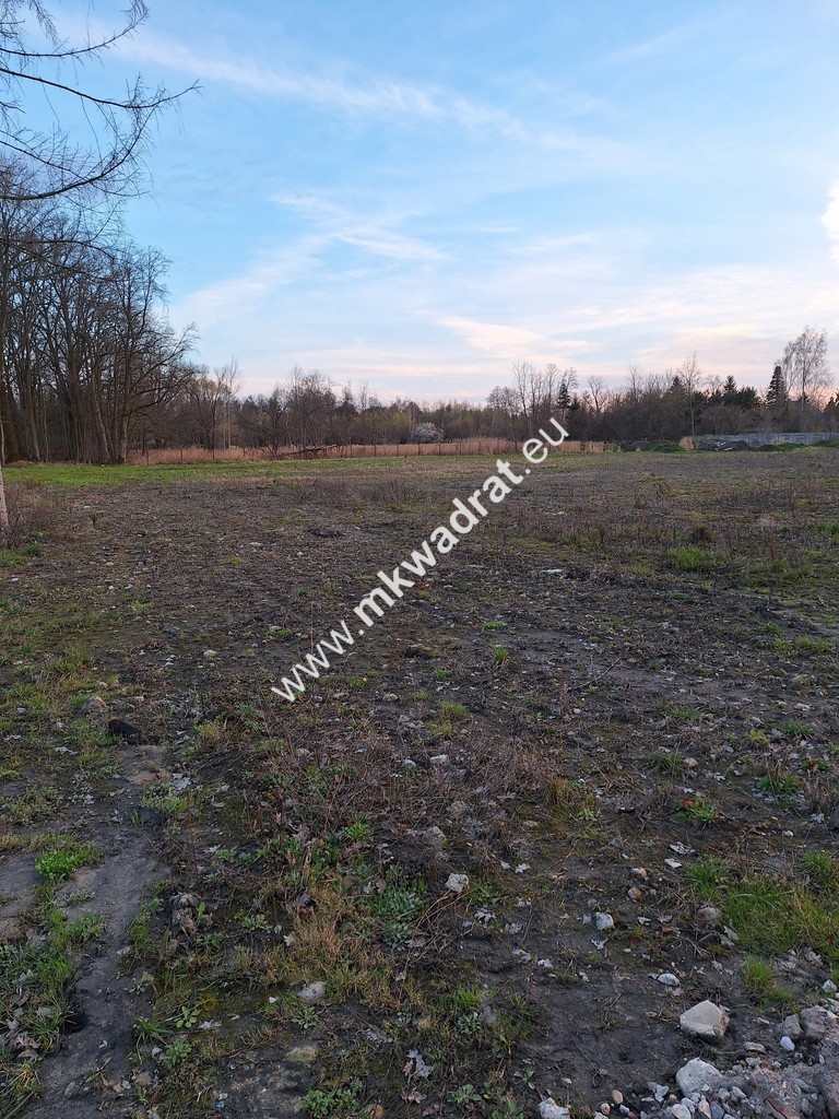 Ładna działka w Ruścu wszystkie media droga GMinna miniaturka 3