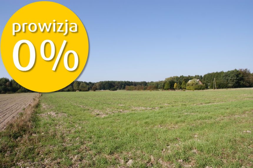 Duża działka nad jeziorem Krasne pod inwestycję miniaturka 5