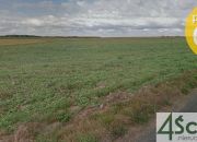 Borki-Paduchy, 225 000 zł, 13.65 ar, płaska miniaturka 5