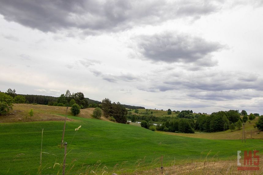 Wodziłki, 1 100 000 zł, 4.31 ha, rolna miniaturka 2