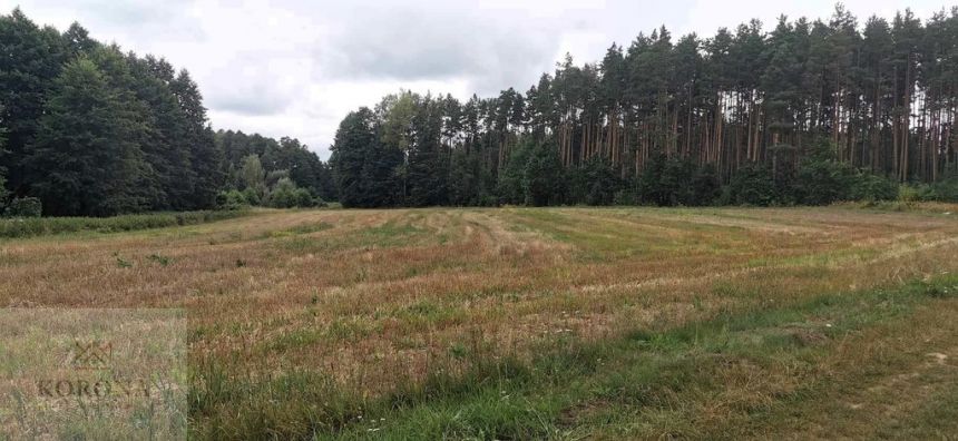 1,45 ha, las, możliwość uzyskania wz miniaturka 3