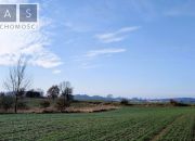 Zamęcin, 89 000 zł, 2.2 ha, rolna miniaturka 2