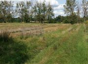 Leszno, 360 000 zł, 30 ar, prostokątna miniaturka 3