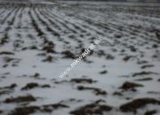 Działka 6450 m2 z domem i halą. miniaturka 2