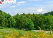 Działka budowlana 3 km od Wałbrzycha miniaturka 6