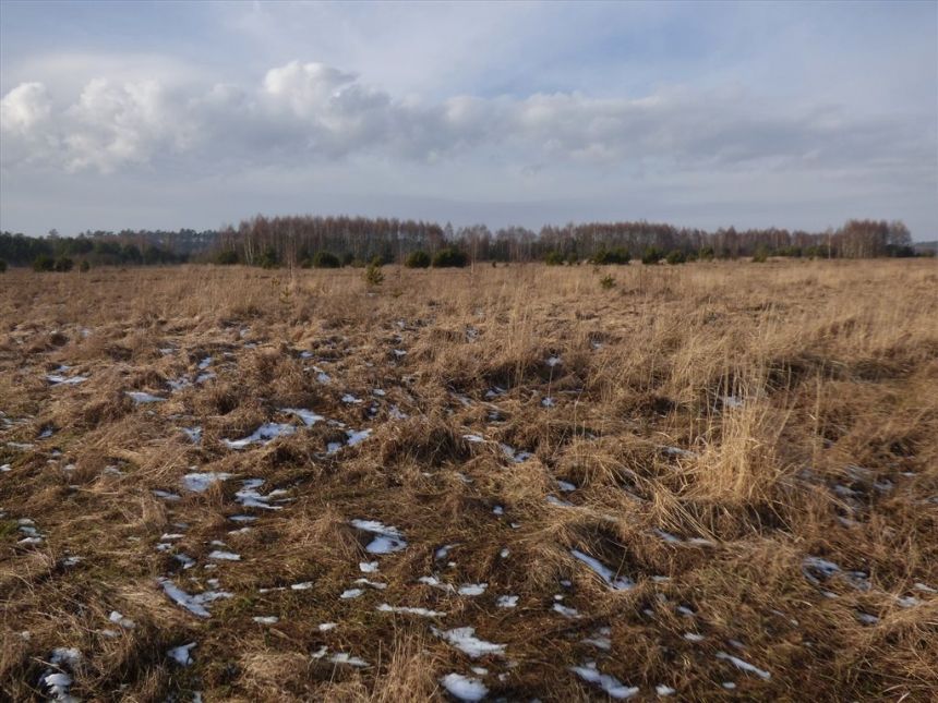 DZIAŁKA ROLNA 1,49 HA, ŁĘKAWA miniaturka 2