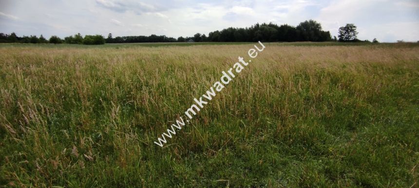 Wyjątkowa Działka rolna do podziału na budowlane! miniaturka 5