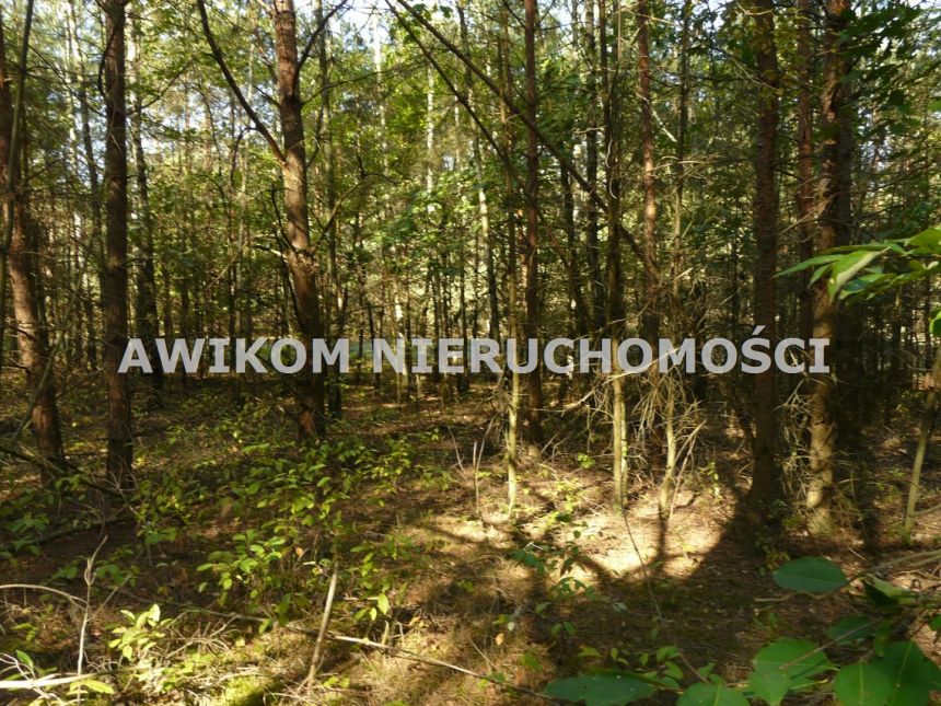 Przewodowice, 299 214 zł, 1.66 ha, rolna miniaturka 11