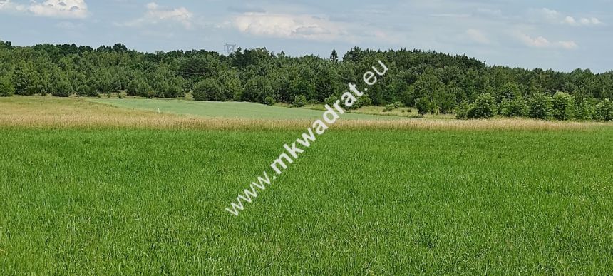 Wyjątkowa Działka rolna do podziału na budowlane! - zdjęcie 1