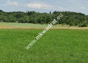 Wyjątkowa Działka rolna do podziału na budowlane! miniaturka 1