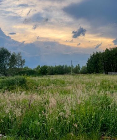 Działka o pow. 1540 m² blisko Warszawy i natury.