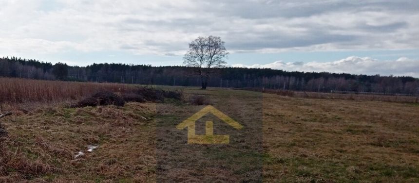 Chrosna, 250 000 zł, 58.81 ar, płaska miniaturka 2