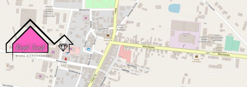 Piotrków Kujawski, 350 000 zł, 23 ar, inwestycyjna - zdjęcie 1