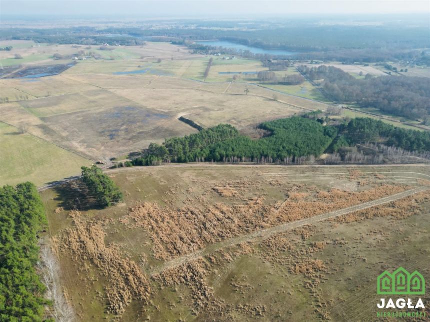 Kołaczkowo Skórzewo 1210m2 jeziora las woda miniaturka 9