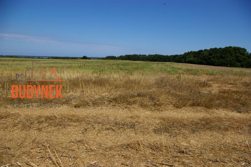 Działka budowlana - Kopnica miniaturka 14