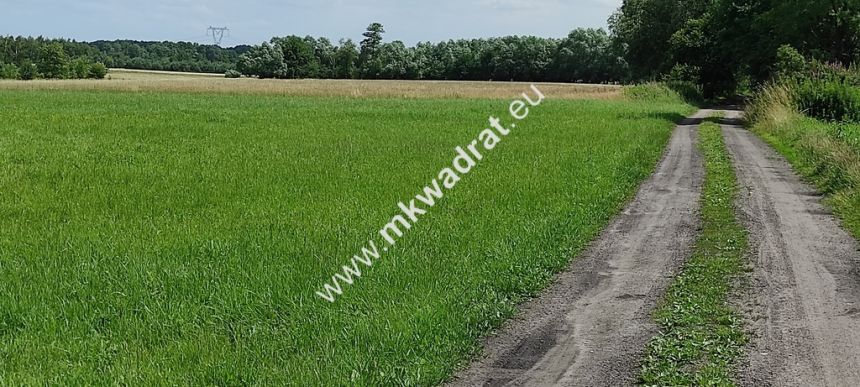 Wyjątkowa Działka rolna do podziału na budowlane! miniaturka 2