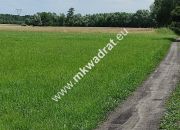 Wyjątkowa Działka rolna do podziału na budowlane! miniaturka 2