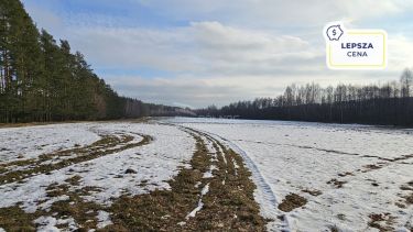 Działka w otulinie lasu niedaleko jeziora Makosiej