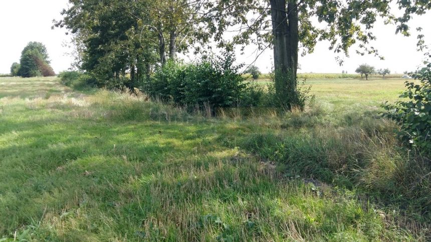 Leszno, 360 000 zł, 30 ar, prostokątna miniaturka 4