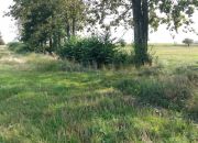 Leszno, 360 000 zł, 30 ar, prostokątna miniaturka 4