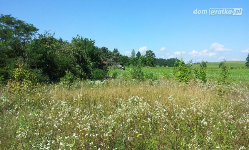 Chmielewo, 260 000 zł, 2.05 ha, przyłącze wodociągu miniaturka 5