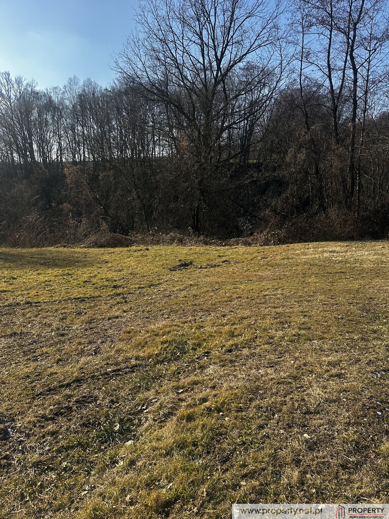 Działka, 10 ar, Witosa, Pilzno miniaturka 6