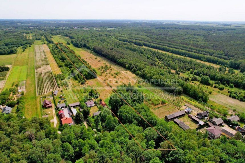 Kazimierz Dolny Siedliskowa Las rekreacja miniaturka 3