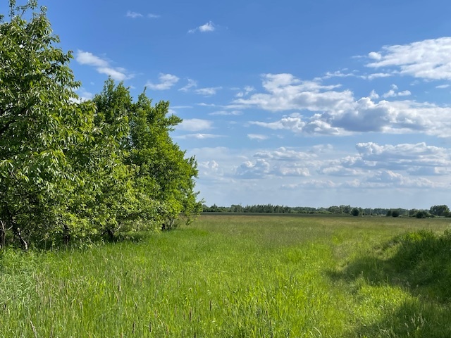 Siedlisko 4,3 ha 30 km od Warszawy 0% prowizji miniaturka 15