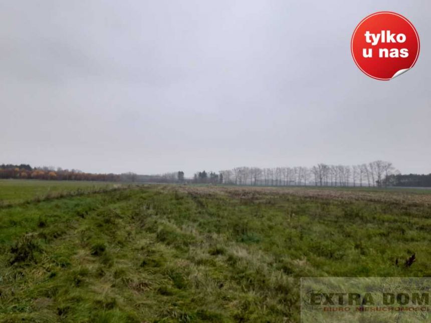 Płoty, 281 000 zł, 8.5 ha, płaska miniaturka 5