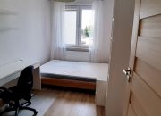 #cztery #pokoje #wynajem  #trzysypialnie #Chodźki miniaturka 6
