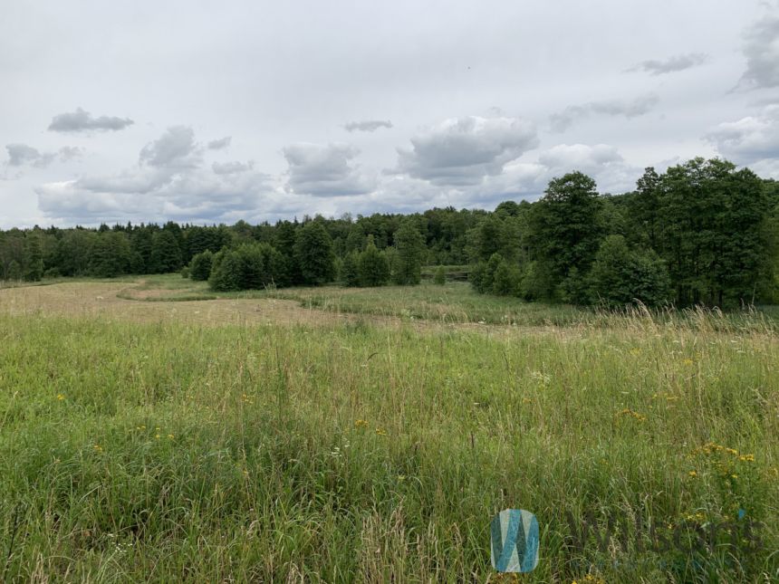 Malinka, 7 500 000 zł, 15.37 ha, droga dojazdowa utwardzona miniaturka 5