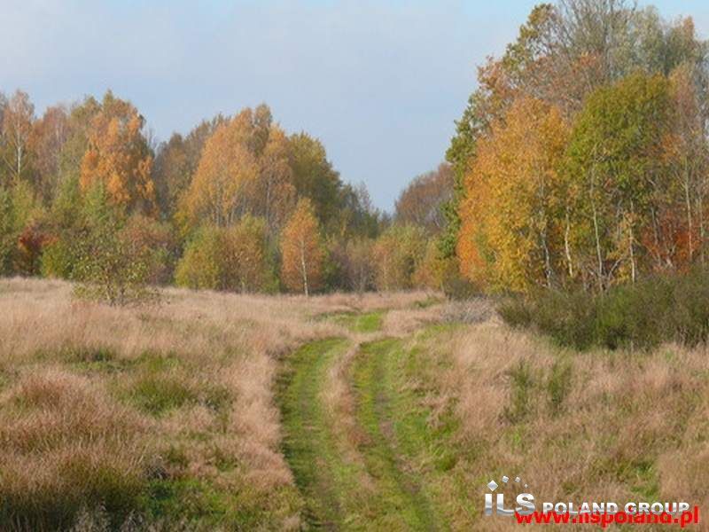 Darżkowo, 310 000 zł, 6.49 ha, rolna miniaturka 3