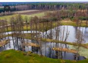 Borowiec 19 000 000 zł 3400 m2 miniaturka 12