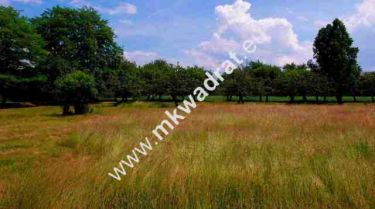 Korabiewice, 202 000 zł, 16.93 ar, budowlana