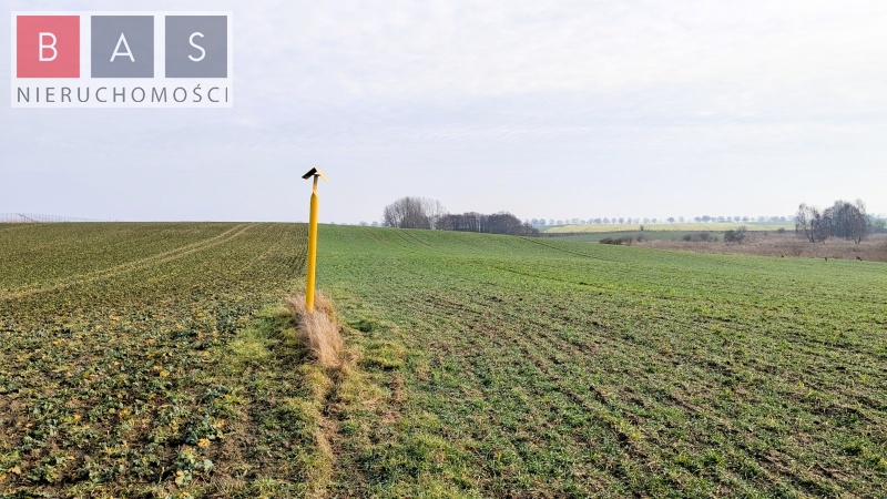 Zamęcin, 89 000 zł, 2.22 ha, prostokątna miniaturka 2