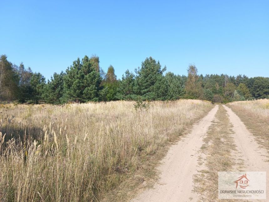 Mielenko Drawskie, 275 000 zł, 7.17 ha, rolna miniaturka 11