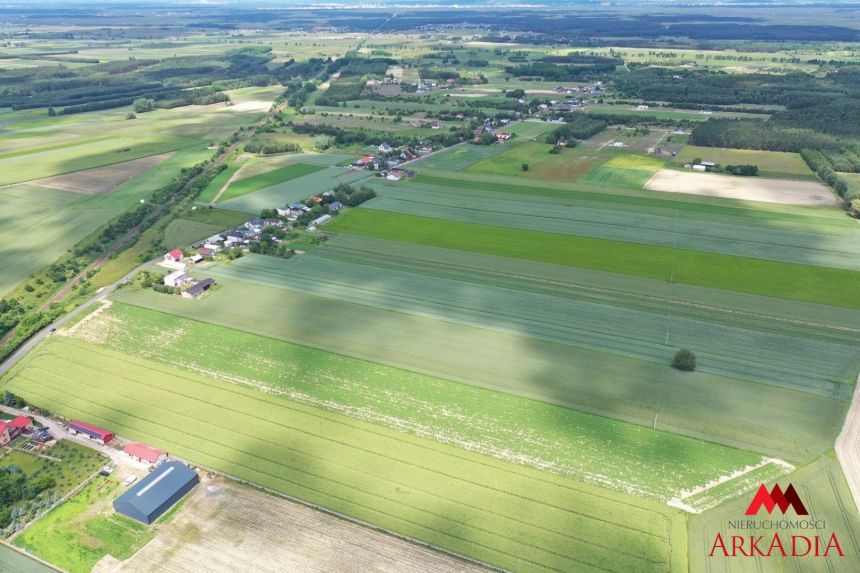 Na sprzedaż – Działki rolne w Gołaszewie miniaturka 2