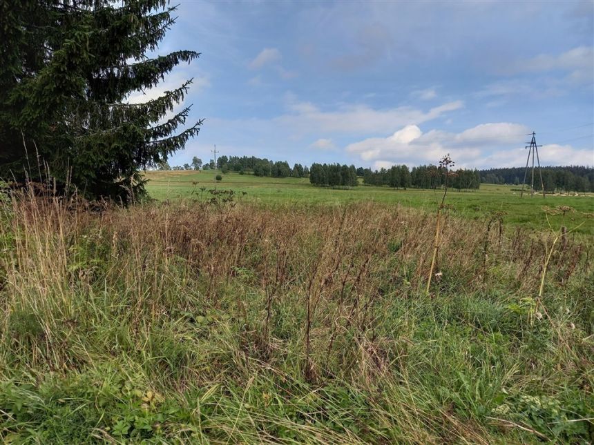 Działka z nielicznym sąsiedztwem, media w drodze miniaturka 2