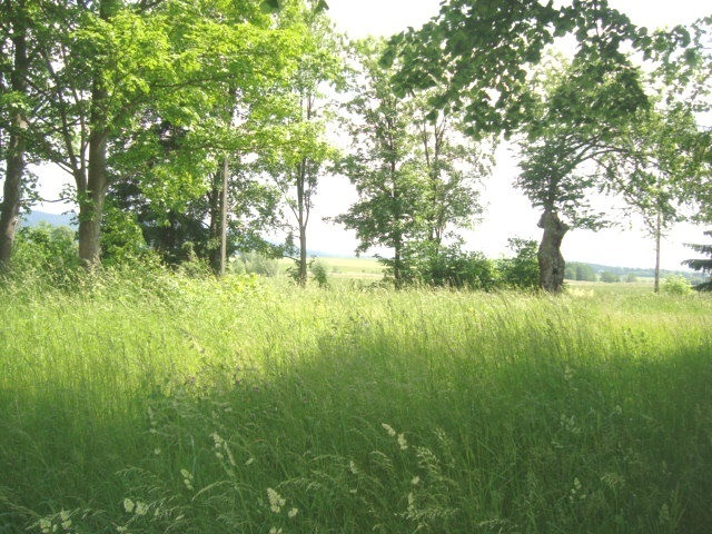 Mieroszów, 112 000 zł, 25.05 ar, przyłącze kanalizacji miniaturka 2